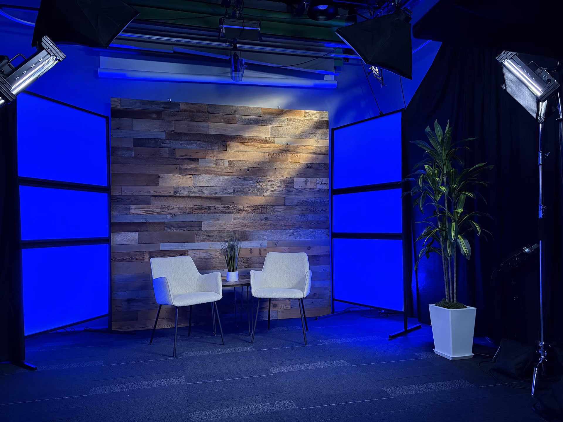 Indoor studio setup featuring a wooden paneled wall with two white chairs facing each other and a small round table with a potted plant between them, illuminated by blue lights and overhead studio lamps, with a tall potted plant on the right side.